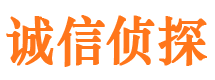 南京市侦探调查公司